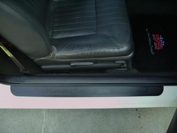 Monte Carlo SS door sill protection