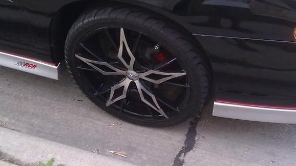 20 inches strong