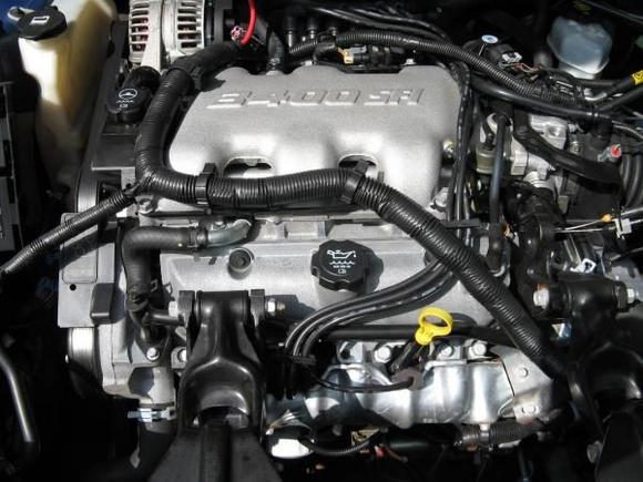 The 3.4 V6- Almost no issues with it except a water pump, Cam sensor gasket and Lower Intake Manifold gasket replacement (The last two were replaced in 2007 under warranty)