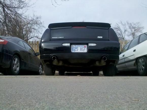 Niteshade during the day