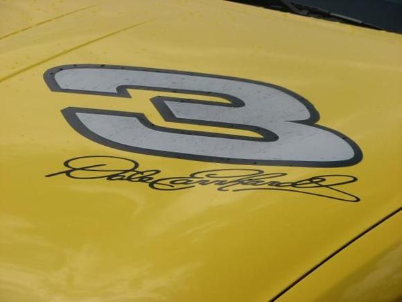 hood decal