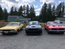 The toys lined for a picture.