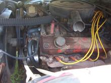 new points, plugs, and wires.... as wel as the fresh power steering pump