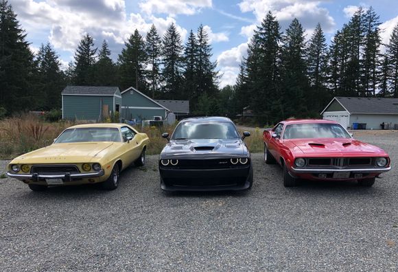 The toys lined for a picture.