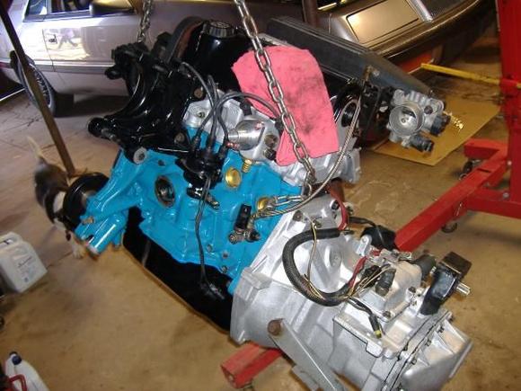 This is just before the engine/trans was dropped in. The motor is a 2.5L bored over 0.040 with Wisecos forged pistons, performance head with backcut  1mm valves, ported intake, a bigger cam at 272/262 duration at .006 tappett lift on the intake/exhaust,  40 injectors, T3/T4 50 trim turbo. The trans is a Cliff Ramsdell custom built small spline (523) 5 speed with a strengthened OBX LSD with 3.73 gears.  All this is mounted on PolyBushing's mounts throughout. The exhaust is 3" downpipe and all the way back with a 3" CAT and muffler.