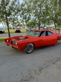roadrunnerfront