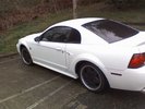 99 stang gt