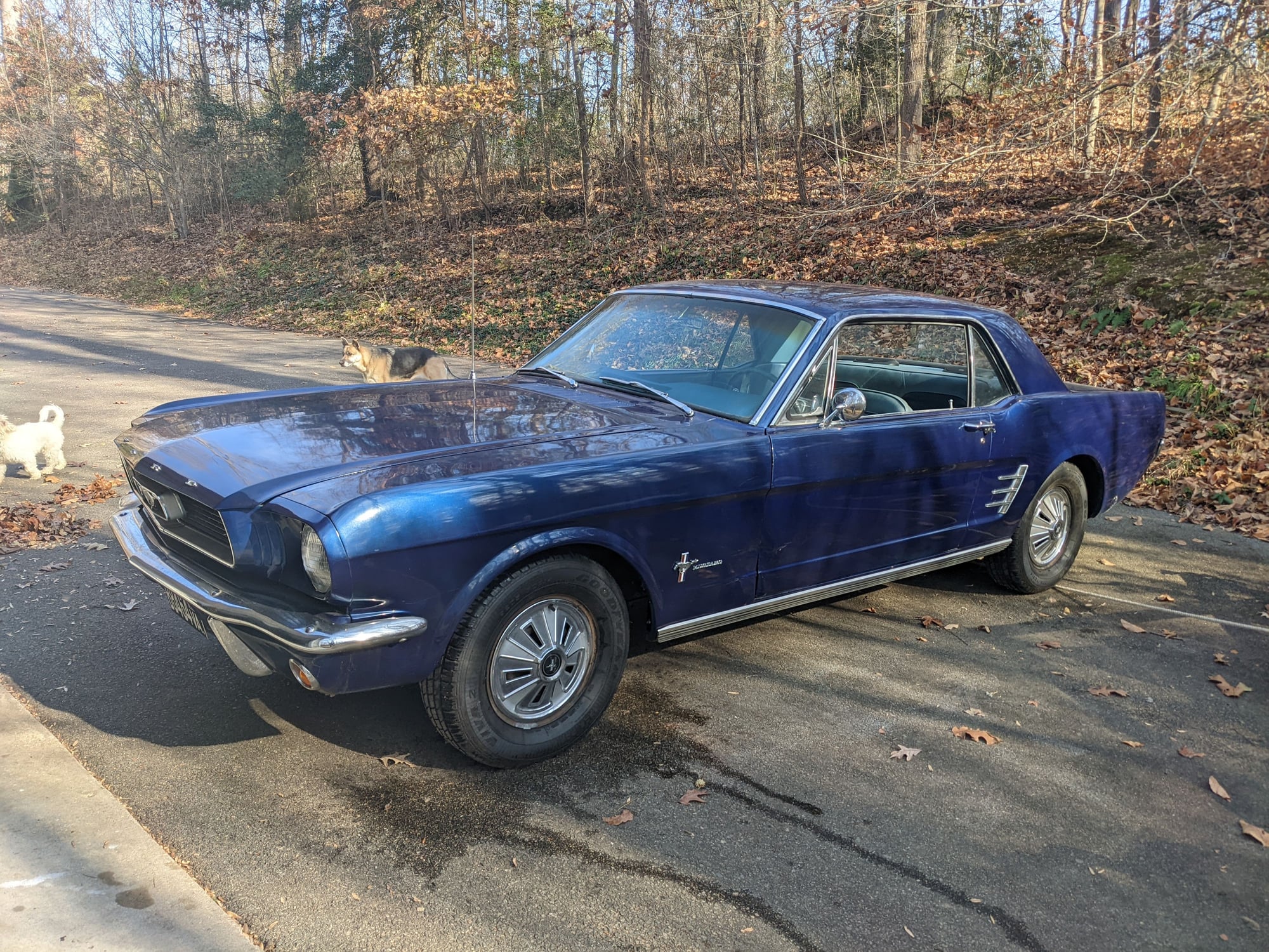 1966 Ford Mustang - 1966 Mustang Coupe $7000 - Used - VIN 6T07T109454 - 46,764 Miles - 6 cyl - 2WD - Automatic - Coupe - Blue - King George, VA 22485, United States