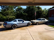 My Mustangs
