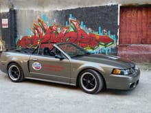 LAMustang.com mascot: 2001 Mustang GT/Cobra 500 RWHP. Used for track days and crusing.