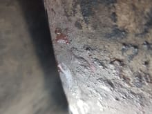 Oil leaking from the gearbox