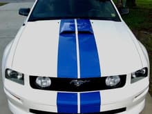 Front GT Bumper/Fascia/Hood. Xenon Hood Scoop. Good View of the Double 8 inch LeMans Racing Stripes. The color is Sapphire Blue by Universal Products.