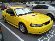 My stang at present