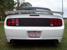 NEW MUSTANG PIC 13