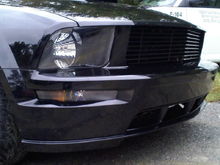 Bumper lights and Grille