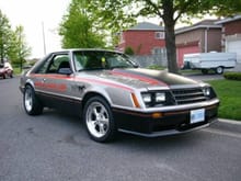 79 Mustang pace car. Should have kept it!!!
