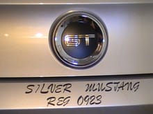 My New Silver belongs to the Silver Mustang Registery