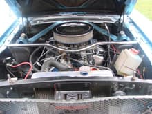 1966 Mustang GT 009