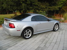 My old stang