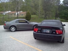My car is the grey v6, the cobra is my buds