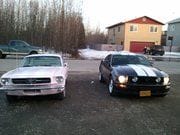 me and my girls stang
