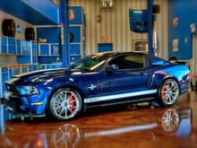 2011GT500SuperSnake - &quot;At Home&quot;