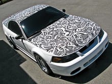 Sharpie Covered Mustang