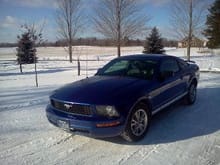 2005 Sonic Blue Mustang
