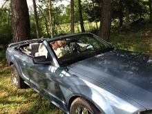 Mustang Wedding (2)