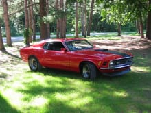 Waffle's 1970 Mustang Fastback