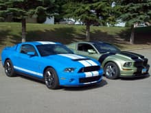 2 Mean Mustangs