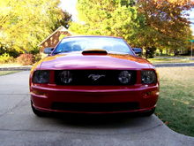 2008 Mustang GT