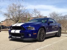 shelby600800