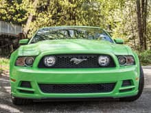 2013 Mustang GT Premium