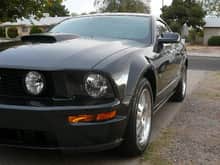 My Mustang!