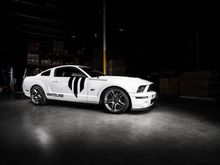 Whiteline 2007 Ford Mustang GT