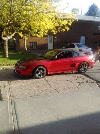 All shinned up on a beautiful sunny day!