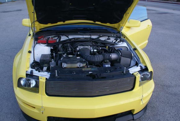 Yellow Mustang engine