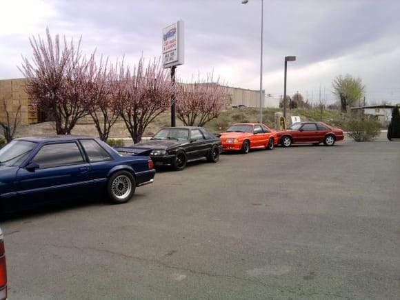 me and Some Buddies washed the Mustangs and Went for a Cruise