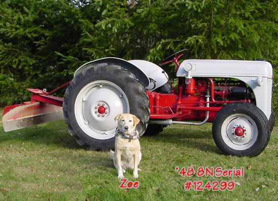 1948 Ford 8N Tractor.  Oh, and my dear friend Zoe