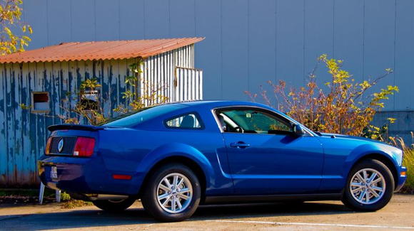 Sabine's Stang on 25 Oct 2008 with Silver Horse Racing Honeycomb Taillight Panel and Vista Blue mirror covers.