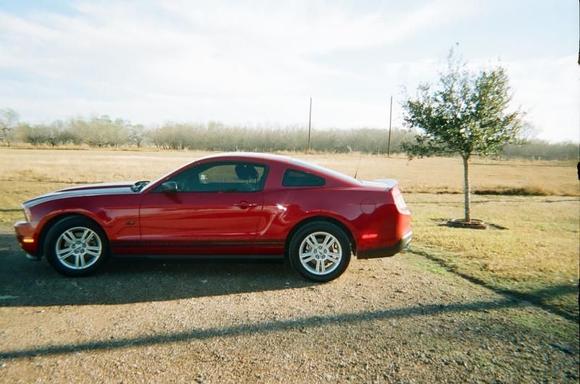 Scorpion Ranch in Bloomington,Tx.