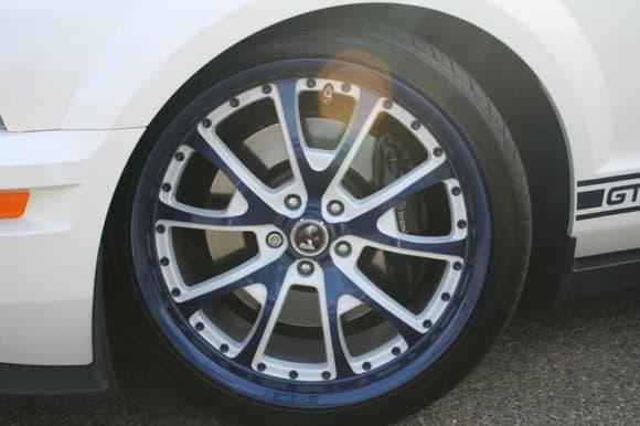 son's '09 GT500 w/Shelby wheels