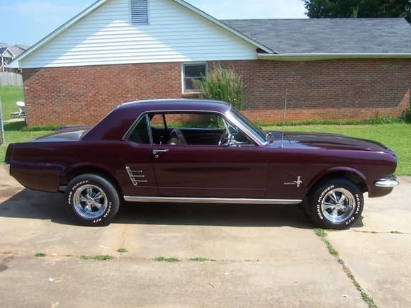 Mustang 006