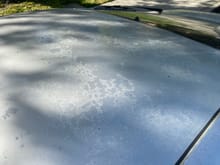 Clearcoat failure - roof
