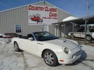 2002 Ford Thunderbird Conv