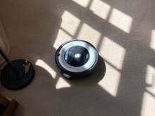 iRobot Roomba- I thought these were a gimmick but they do as good a job as the actual cleaner who comes once a week (she is staying though as she fit)
