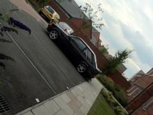 escort 1.1 populer