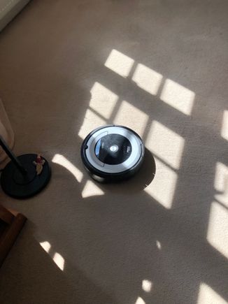 iRobot Roomba- I thought these were a gimmick but they do as good a job as the actual cleaner who comes once a week (she is staying though as she fit)
