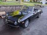 1981 Alfa Romeo Spider  for sale $8,995 